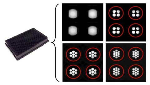Multiplex plates